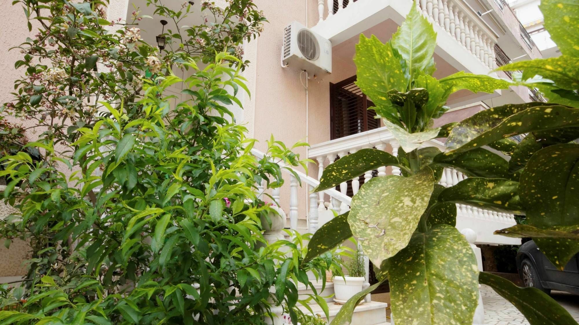 בודווה Apartment Glomazic מראה חיצוני תמונה